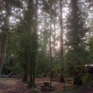 puddledock-woods-glamping-camping-kent-campsite-1