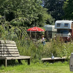 puddledock-woods-meadow