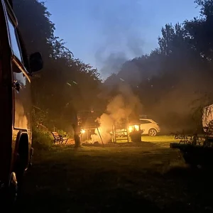 puddledock-woods-night-2