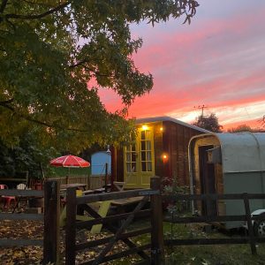 puddledock-woods-wild-camping-canterbury-kent_11