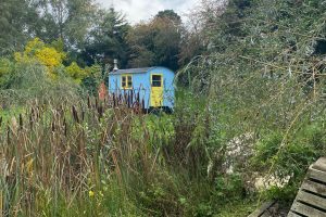 puddledock-woods-wild-camping-canterbury-kent_12