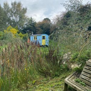 puddledock-woods-wild-camping-canterbury-kent_12