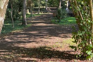 puddledock-woods-wild-camping-canterbury-kent_13