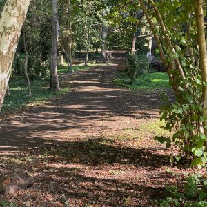 puddledock-woods-wild-camping-canterbury-kent_13