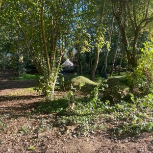 puddledock-woods-wild-camping-canterbury-kent_14