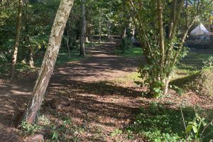 puddledock-woods-wild-camping-canterbury-kent_16
