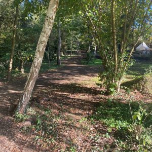 puddledock-woods-wild-camping-canterbury-kent_16