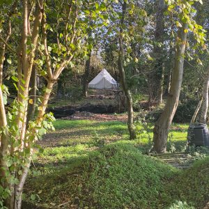 puddledock-woods-wild-camping-canterbury-kent_2