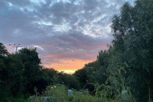 puddledock-woods-wild-camping-canterbury-kent_35