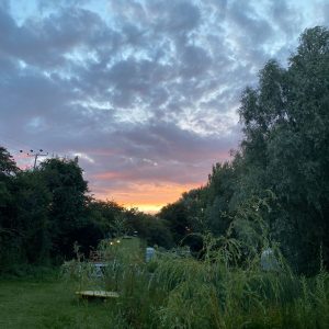 puddledock-woods-wild-camping-canterbury-kent_35