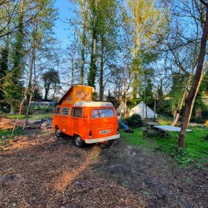 puddledock-woods-wild-camping-canterbury-kent_53