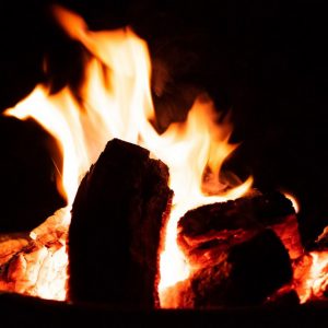 puddledock-woods-wild-camping-glamping-canterbury-kent_10