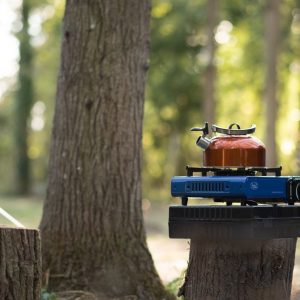 puddledock-woods-wild-camping-glamping-canterbury-kent_7